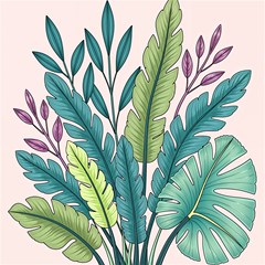 illustrations plants nature leaves