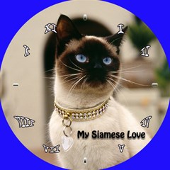 siamese