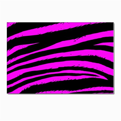 Pink Zebra Postcard 4 x 6  (Pkg of 10) from ArtsNow.com Front