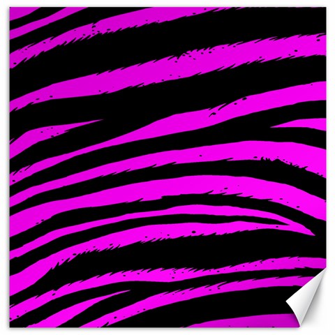 Pink Zebra Canvas 12  x 12  from ArtsNow.com 11.4 x11.56  Canvas - 1