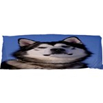 Use Your Photo Alaskan Malamute Dog Samsung S3350 Hardshell Case