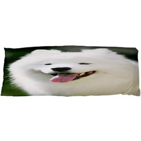 Use Your Photo American Eskimo Dog Samsung Galaxy SL i9003 Hardshell Case from ArtsNow.com Front