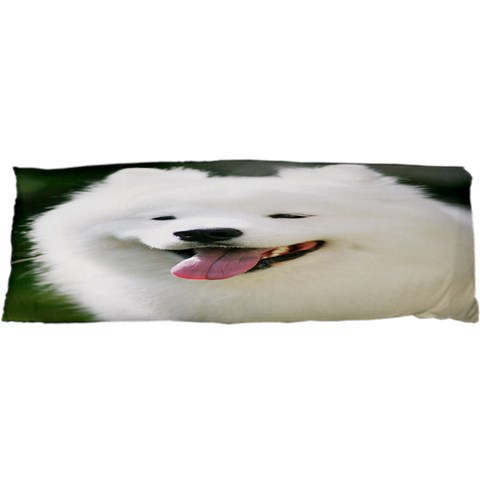 Use Your Photo American Eskimo Dog Samsung S3350 Hardshell Case from ArtsNow.com Front