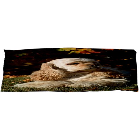 Use Your Dog Photo Cocker Spaniel Samsung Galaxy S i9008 Hardshell Case from ArtsNow.com Front