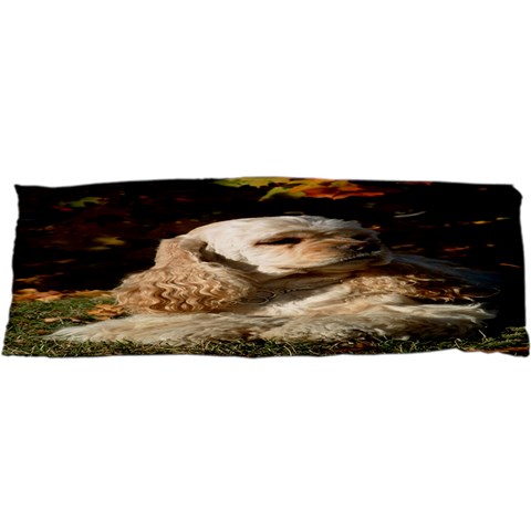 Use Your Dog Photo Cocker Spaniel Samsung S3350 Hardshell Case from ArtsNow.com Front