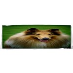 Use Your Dog Photo Collie Samsung S3350 Hardshell Case