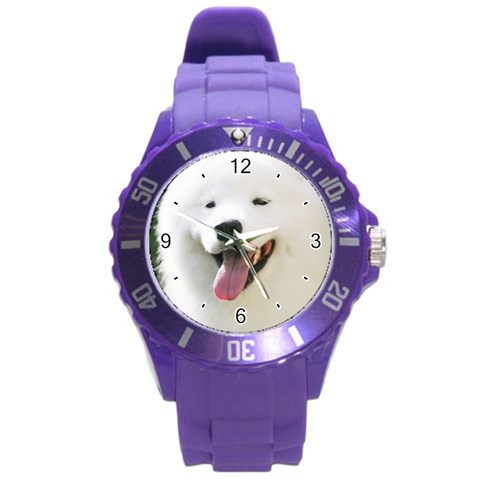 Use Your Photo American Eskimo Dog Round Plastic Sport Watch Large from ArtsNow.com Front