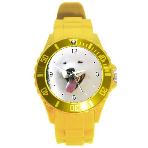 Use Your Photo American Eskimo Dog Round Plastic Sport Watch Large from ArtsNow.com Front