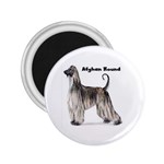 Afghan Hound 2.25  Magnet