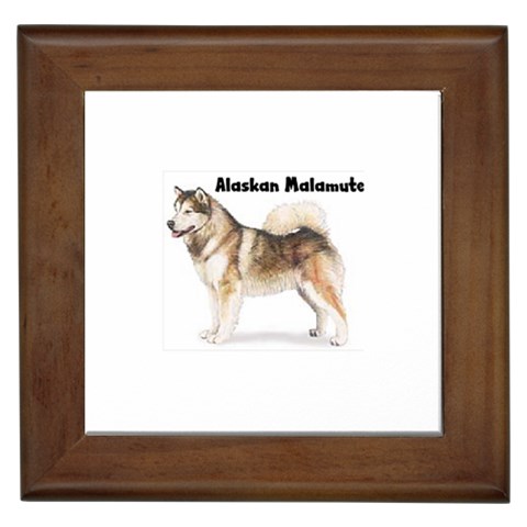 Alaskan Malamute Framed Tile from ArtsNow.com Front