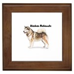 Alaskan Malamute Framed Tile