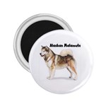 Alaskan Malamute 2.25  Magnet