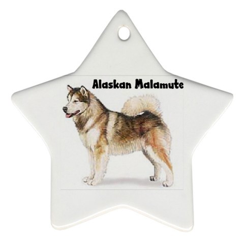 Alaskan Malamute Ornament (Star) from ArtsNow.com Front