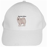 American Eskimo White Cap