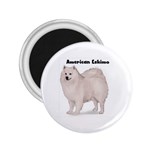 American Eskimo 2.25  Magnet