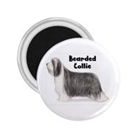 Bearded Collie 2.25  Magnet