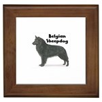 Belgian Sheepdog Framed Tile