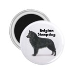 Belgian Sheepdog 2.25  Magnet