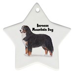 Bernese Mountain Dog Ornament (Star)