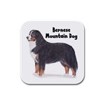 Bernese Mountain Dog Rubber Square Coaster (4 pack)