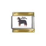 Bernese Mountain Dog Gold Trim Italian Charm (9mm)