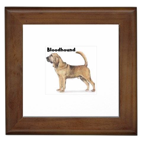 Bloodhound Framed Tile from ArtsNow.com Front