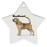 Bloodhound Ornament (Star)