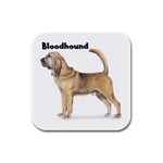 Bloodhound Rubber Square Coaster (4 pack)