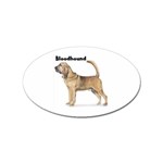 Bloodhound Sticker (Oval)