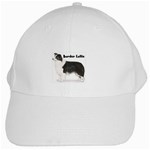 Border Collie White Cap