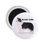 Border Collie 2.25  Magnet