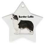 Border Collie Ornament (Star)