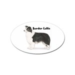 Border Collie Sticker (Oval)