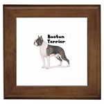 Boston Terrier Framed Tile