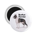 Boston Terrier 2.25  Magnet