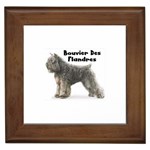 Bouvier des Flandres Framed Tile