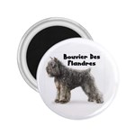 Bouvier des Flandres 2.25  Magnet