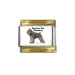 Bouvier des Flandres Gold Trim Italian Charm (9mm)