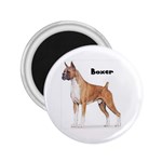 Boxer 2.25  Magnet