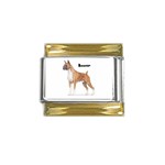 Boxer Gold Trim Italian Charm (9mm)