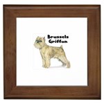 Brussels Griffon Framed Tile