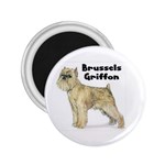 Brussels Griffon 2.25  Magnet