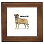 Bullmastiff Framed Tile