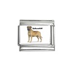 Bullmastiff Italian Charm (9mm)