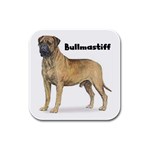 Bullmastiff Rubber Square Coaster (4 pack)