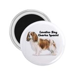 Cavalier King Charles Spaniel 2.25  Magnet