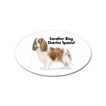 Cavalier King Charles Spaniel Sticker (Oval)