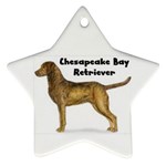 Chesapeake Bay Retriever Ornament (Star)