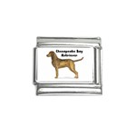 Chesapeake Bay Retriever Italian Charm (9mm)