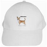 Chihuahua White Cap